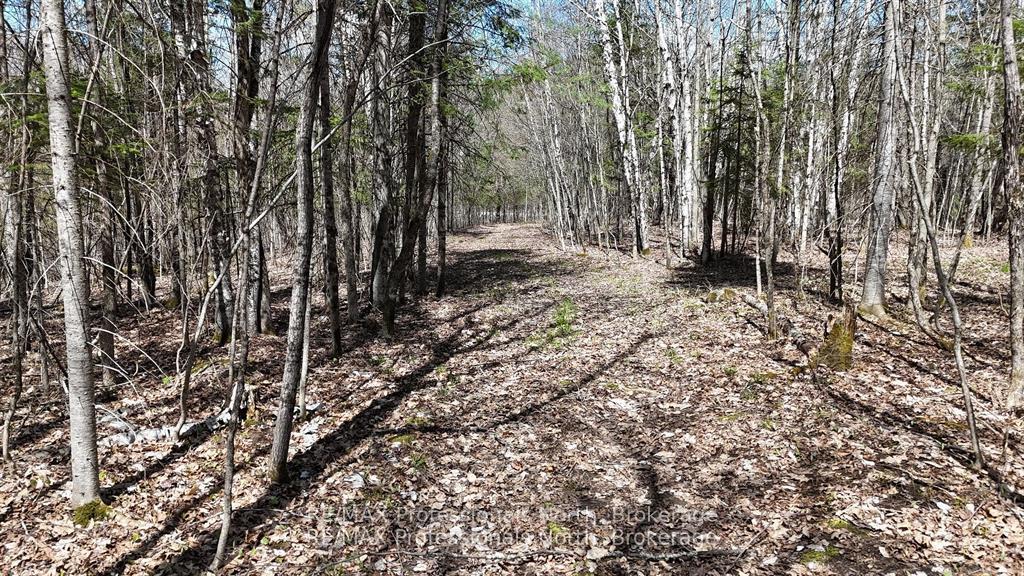 Photo 10 of Osprey Road, Minden Hills, Minden — HOMEH