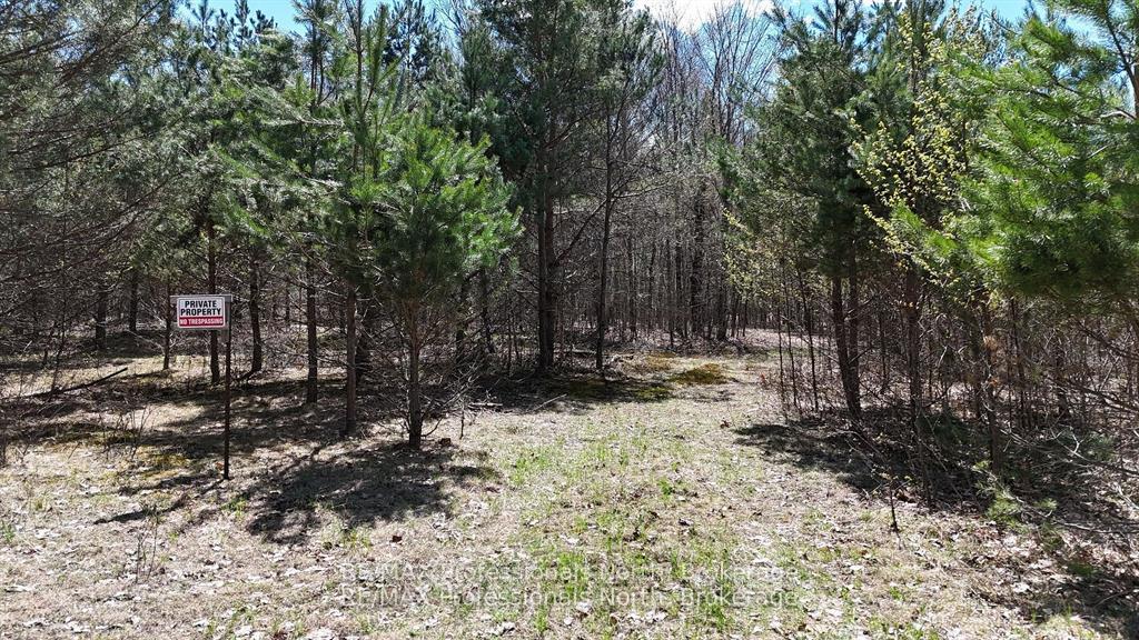 Photo 11 of Osprey Road, Minden Hills, Minden — HOMEH