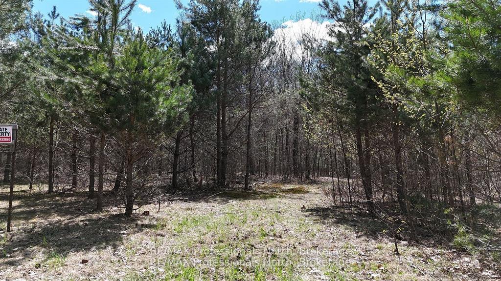 Photo 19 of Osprey Road, Minden Hills, Minden — HOMEH