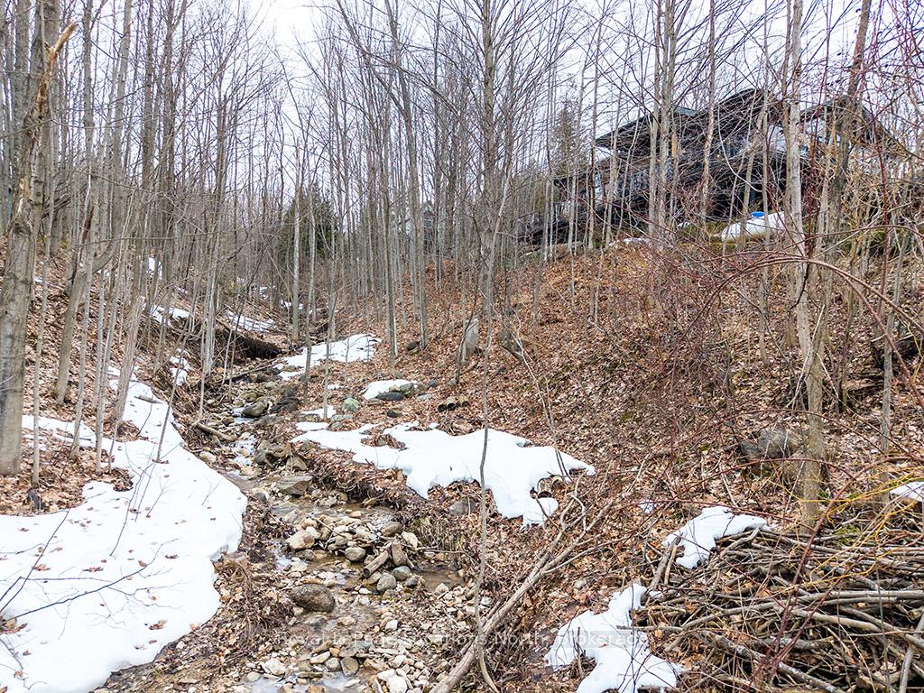Photo 41 of 112 Amik Court, Grey Highlands — HOMEH