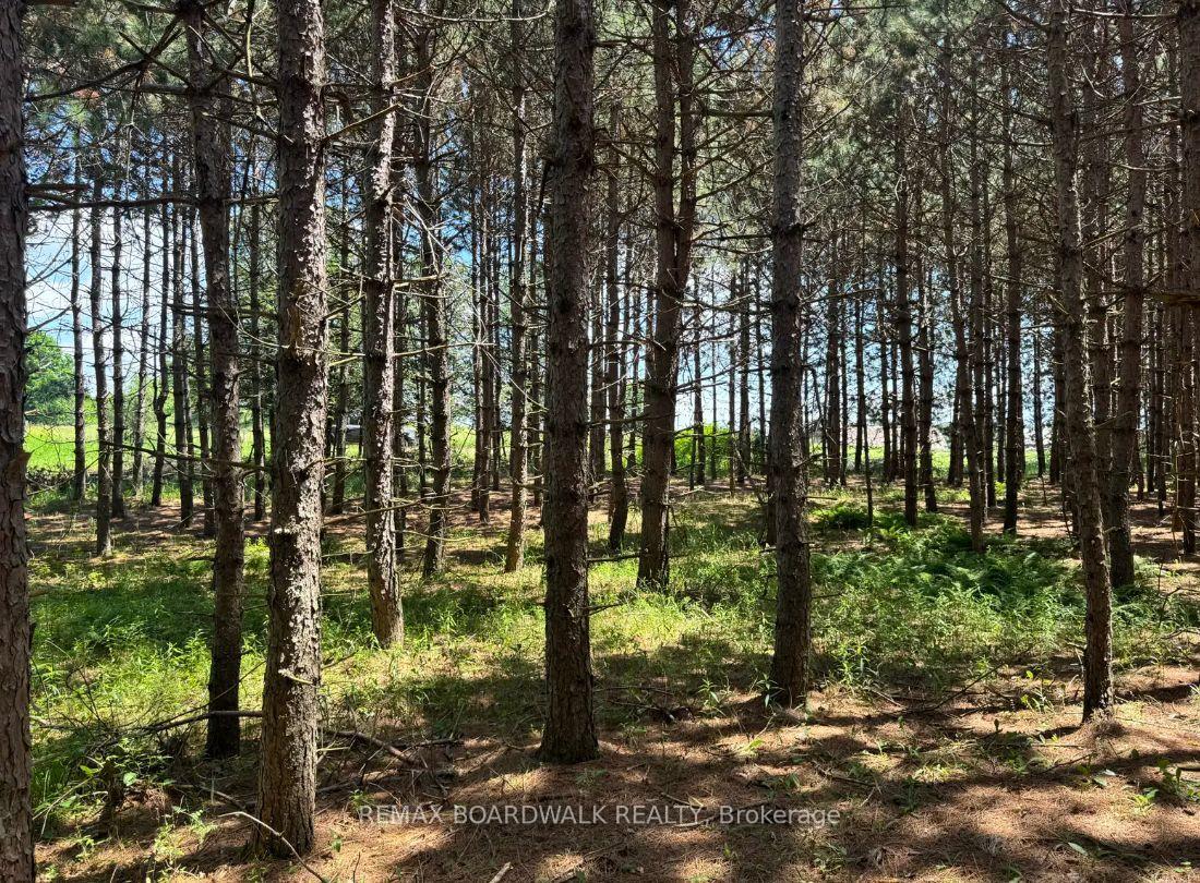 Photo 7 of 1161 Rosetta Road, Lanark Highlands, Lanark Highlands (Lanark) Twp — HOMEH
