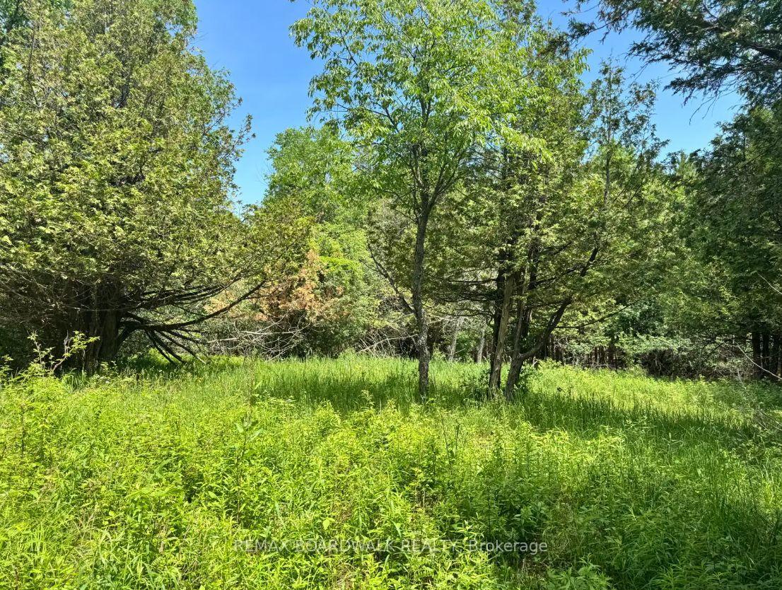 Photo 10 of 1161 Rosetta Road, Lanark Highlands, Lanark Highlands (Lanark) Twp — HOMEH