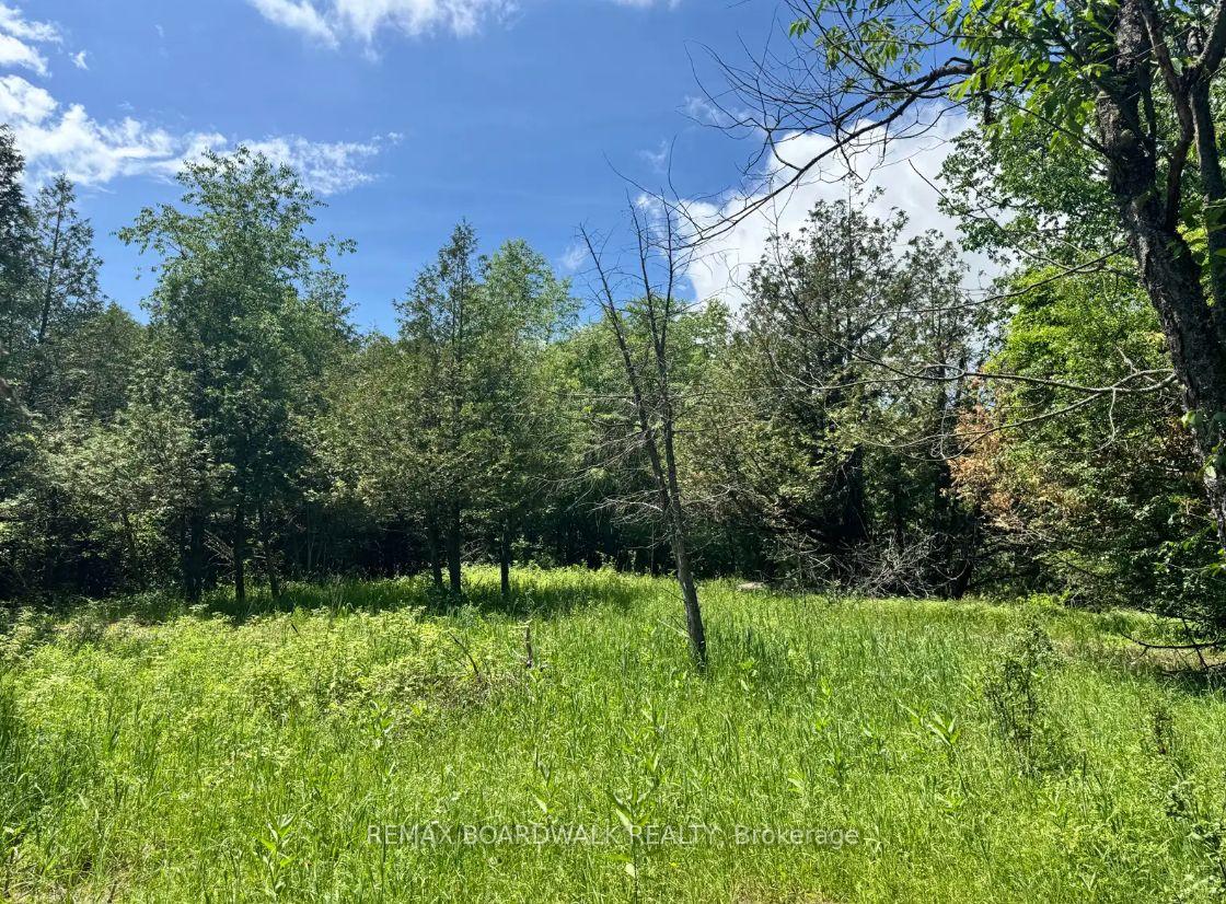 Photo 1 of 1151 Rosetta Road, Lanark Highlands, Lanark Highlands (Lanark) Twp — HOMEH