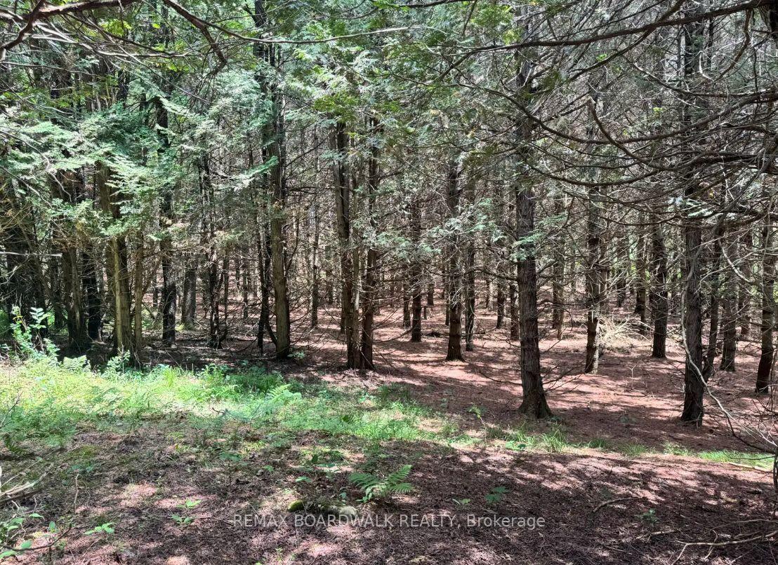 Photo 5 of 1151 Rosetta Road, Lanark Highlands, Lanark Highlands (Lanark) Twp — HOMEH