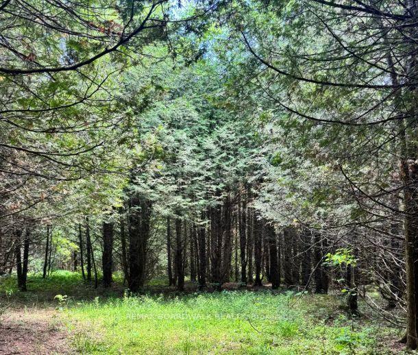 Photo 8 of 1151 Rosetta Road, Lanark Highlands, Lanark Highlands (Lanark) Twp — HOMEH
