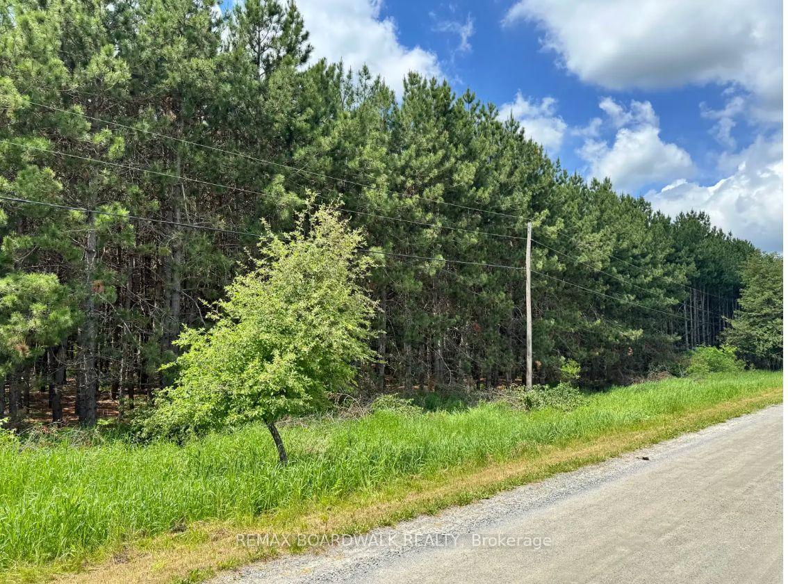 Photo 9 of 1151 Rosetta Road, Lanark Highlands, Lanark Highlands (Lanark) Twp — HOMEH