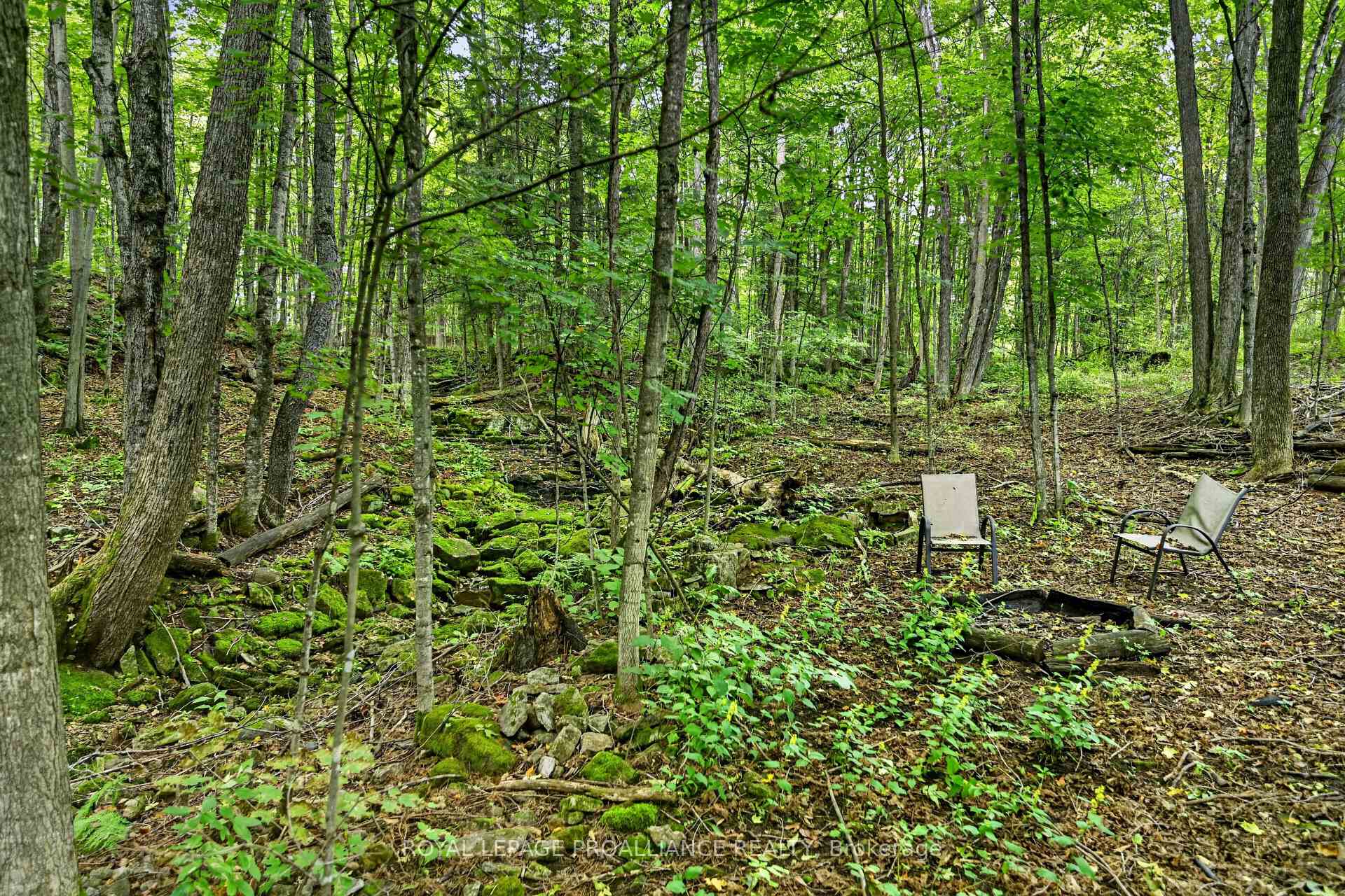 Photo 37 of 100 Coons Road, Rideau Lakes, Rideau Lakes (Bastard) Twp — HOMEH