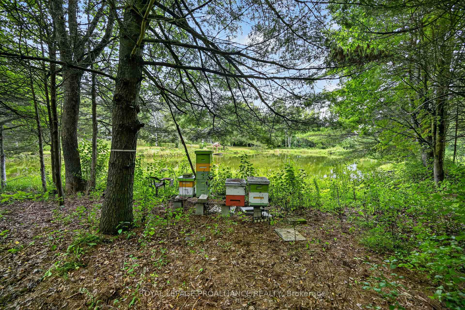Photo 41 of 100 Coons Road, Rideau Lakes, Rideau Lakes (Bastard) Twp — HOMEH