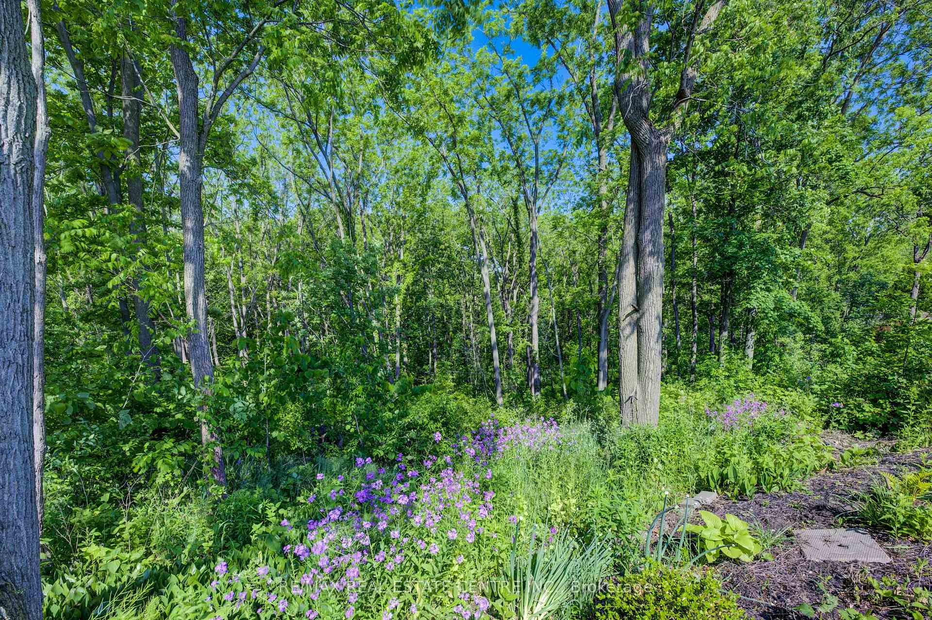 Photo 39 of 4072 Highland Park Drive, Lincoln, Beamsville — HOMEH