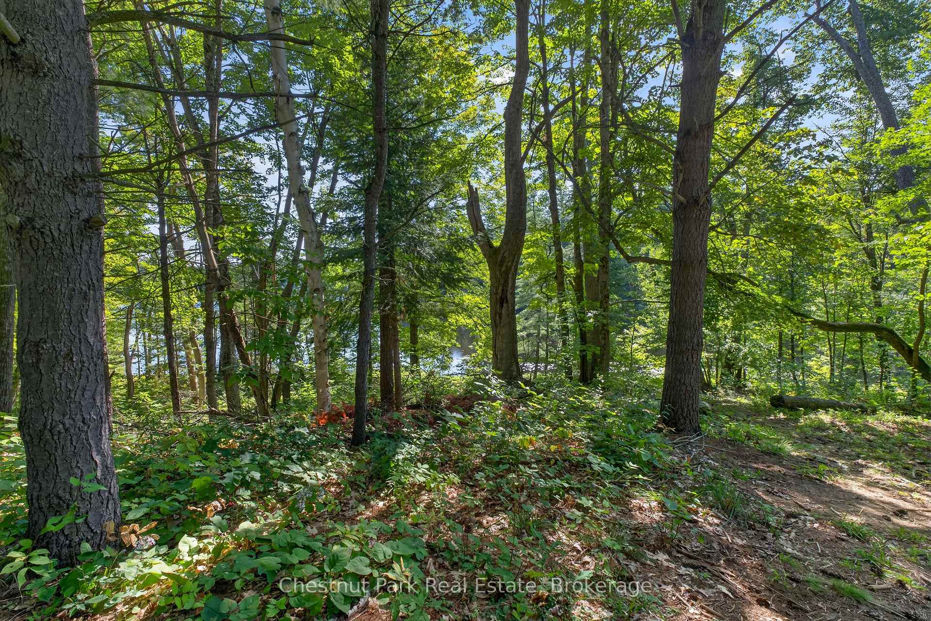 Photo 17 of 1627 Houseys Rapids Road, Gravenhurst, Ryde — HOMEH