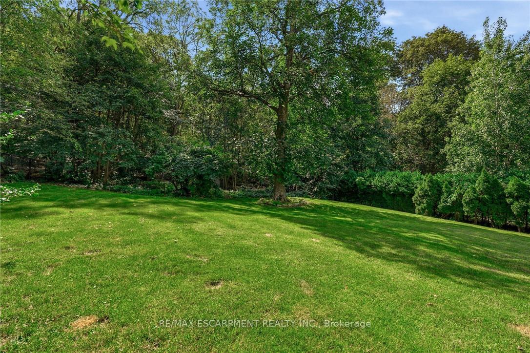 Photo 49 of 79 Amelia Street, Hamilton, Kirkendall — HOMEH