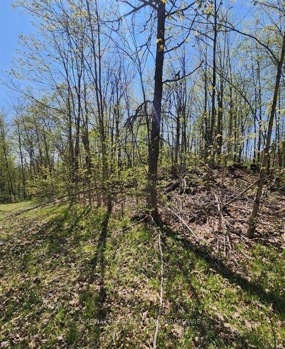 Photo of 0 Burke Settlement Road