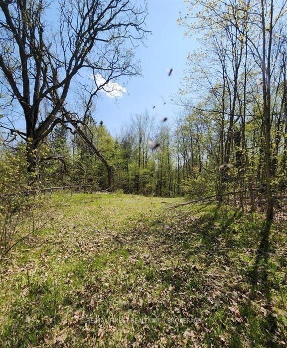 Photo 3 of Burke Settlement Road, Frontenac, Frontenac Centre — HOMEH