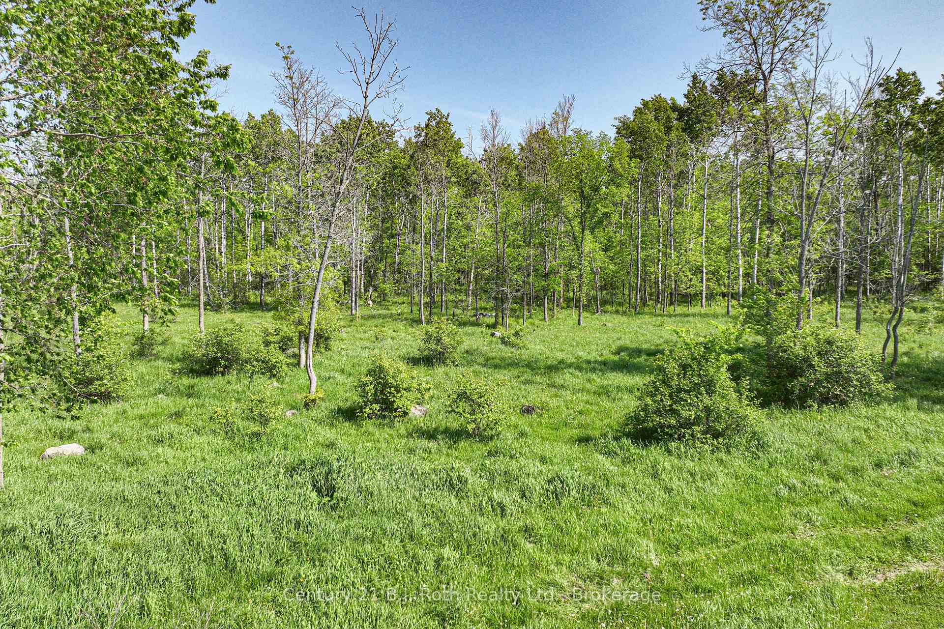 Photo 9 of 1579 Wainman Line, Severn, Rural Severn — HOMEH