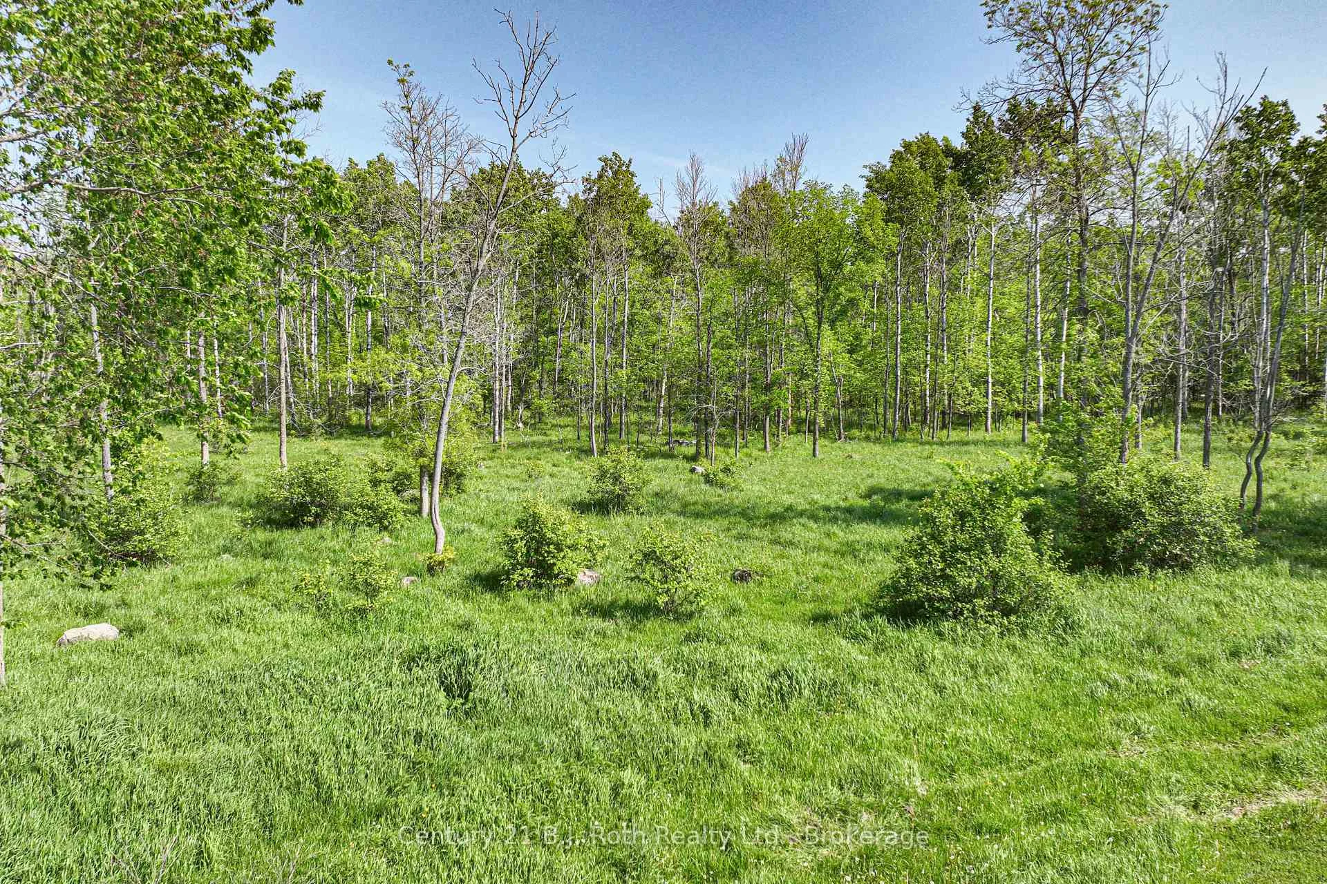 Photo 16 of 1579 Wainman Line, Severn, Rural Severn — HOMEH