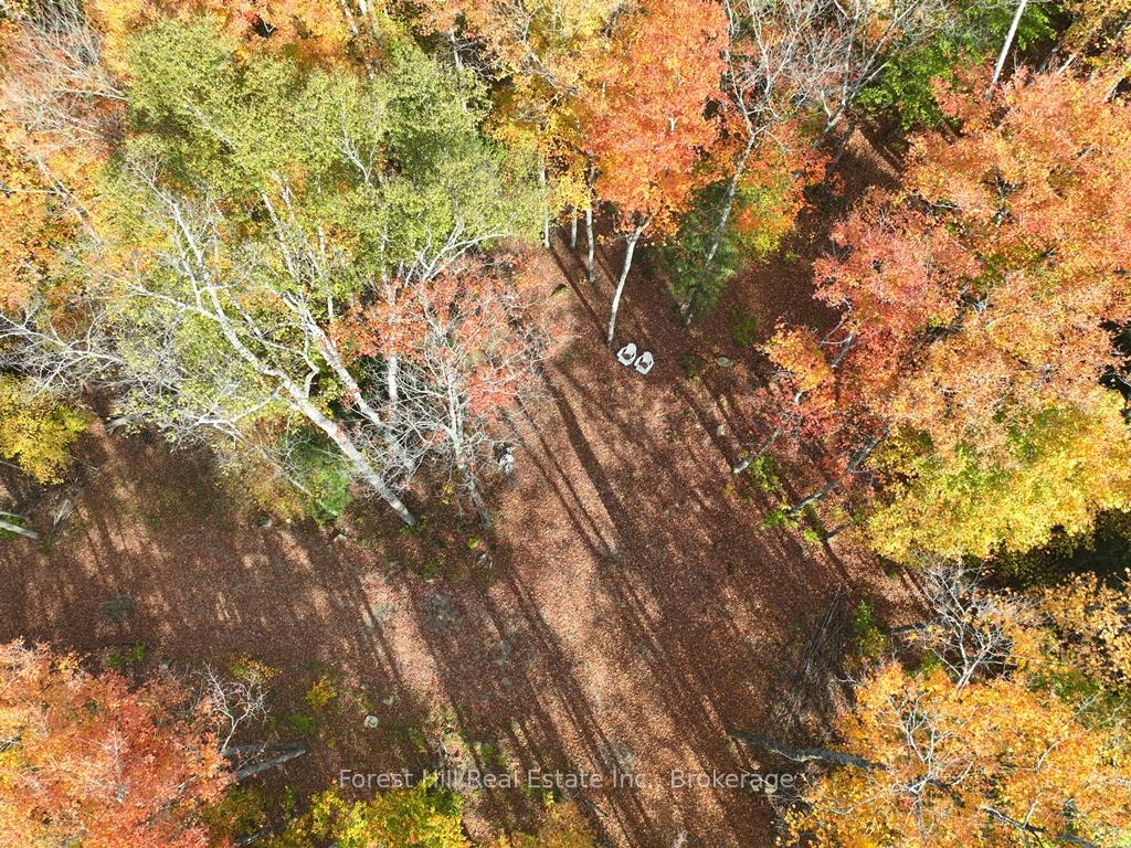 Photo of 4488 Kawagama Lake Road