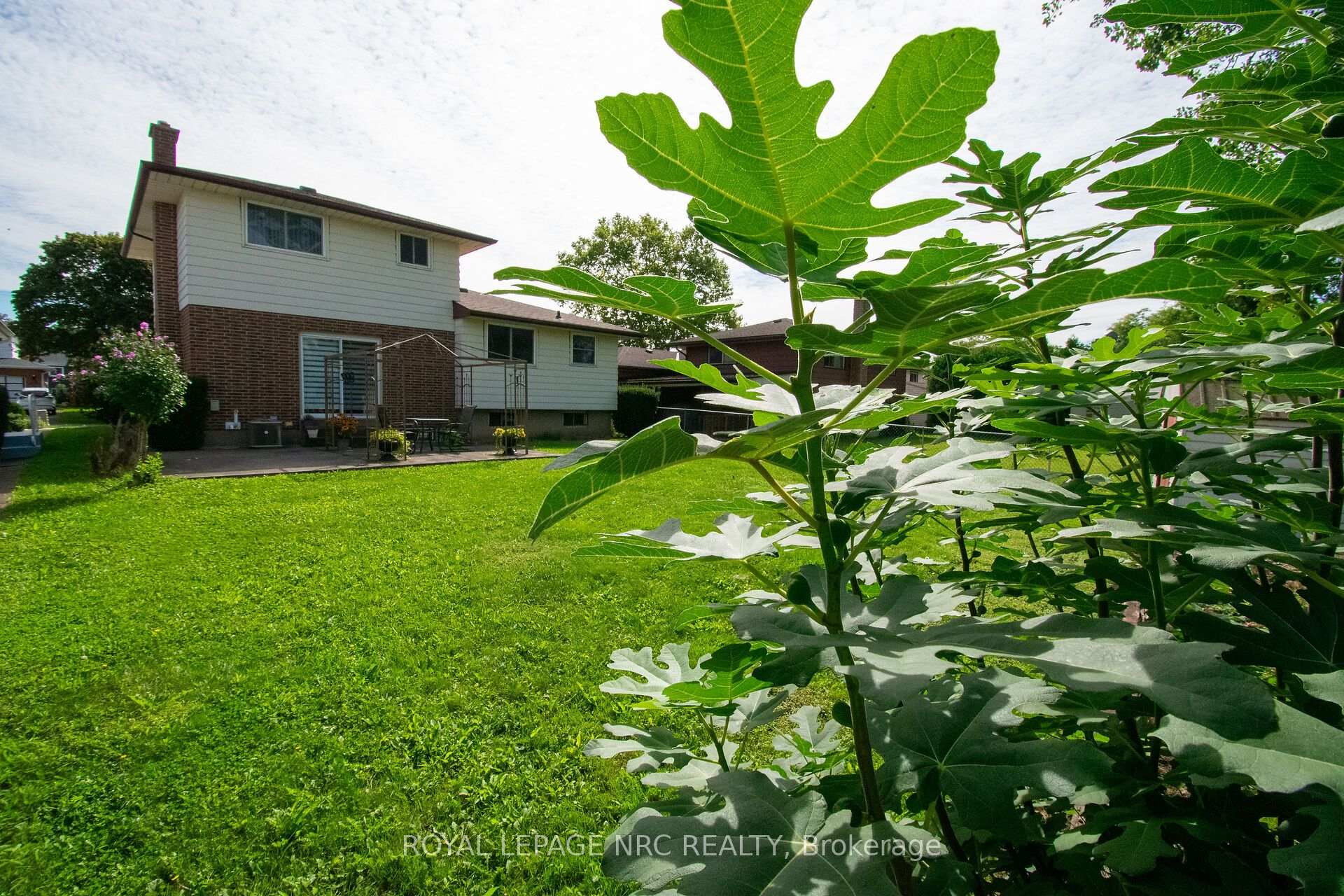 Photo 3 of 7 Dolly Circle, St. Catharines, Secord Woods — HOMEH