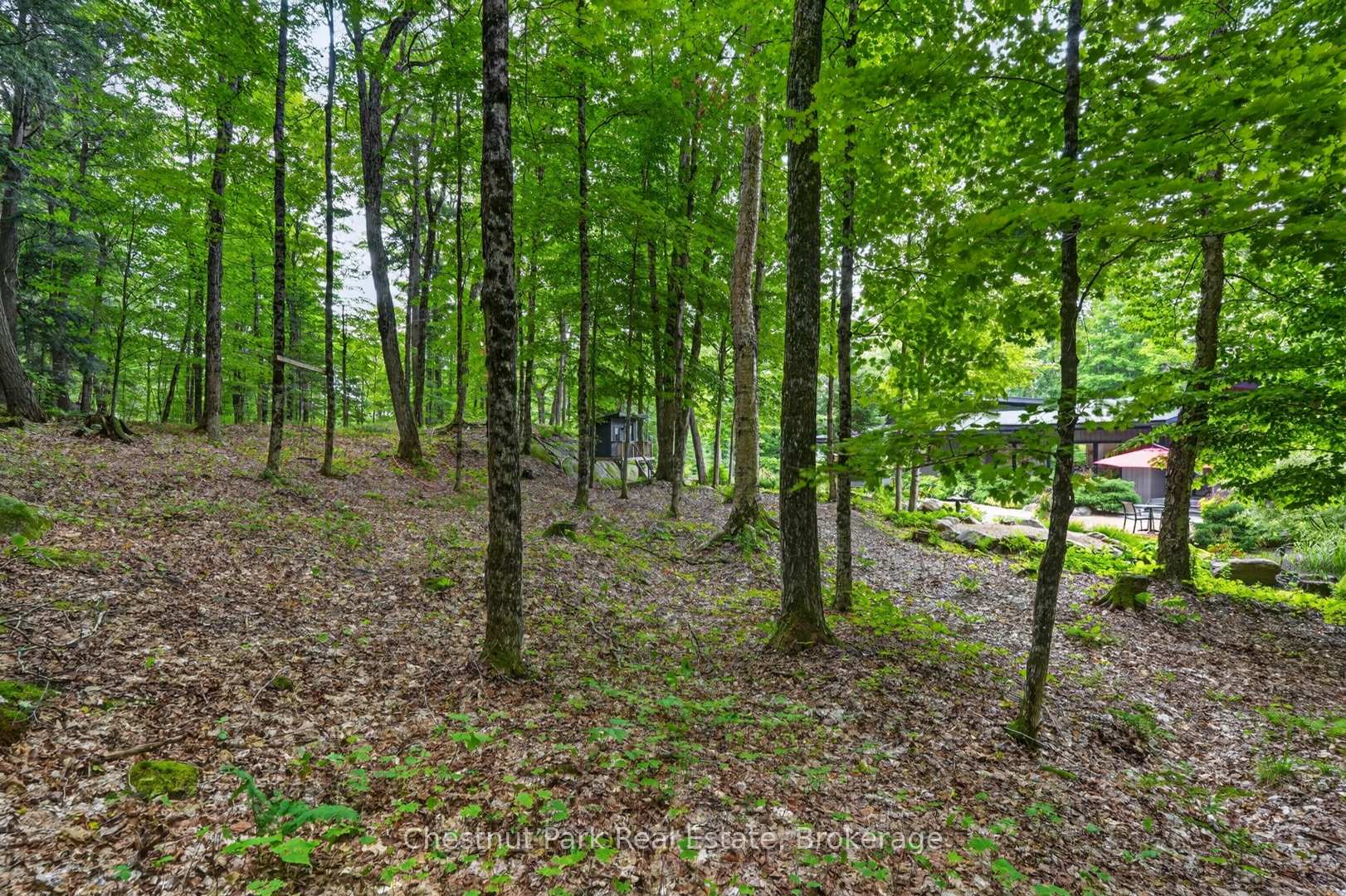 Photo 46 of 115 Lindgren Road E, Huntsville, Brunel — HOMEH