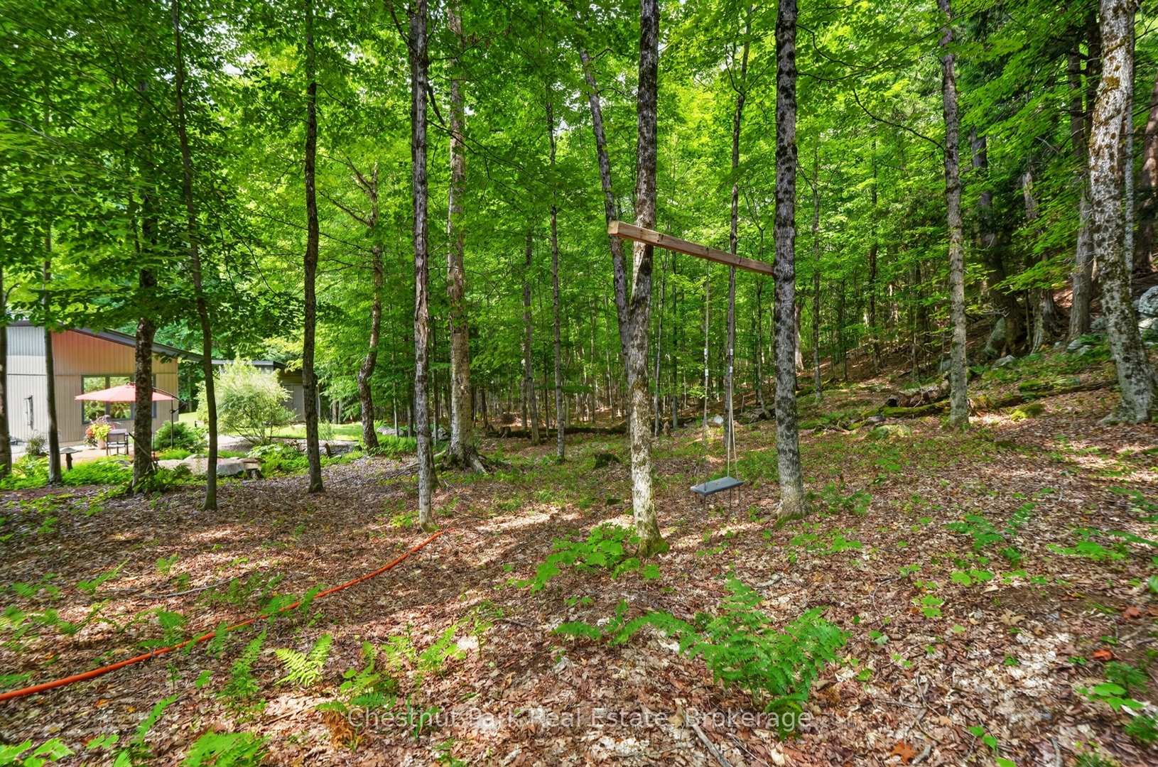 Photo 47 of 115 Lindgren Road E, Huntsville, Brunel — HOMEH