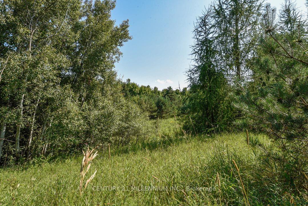Photo 44 of 4845 Escarpment Side Road, Caledon, Rural Caledon — HOMEH