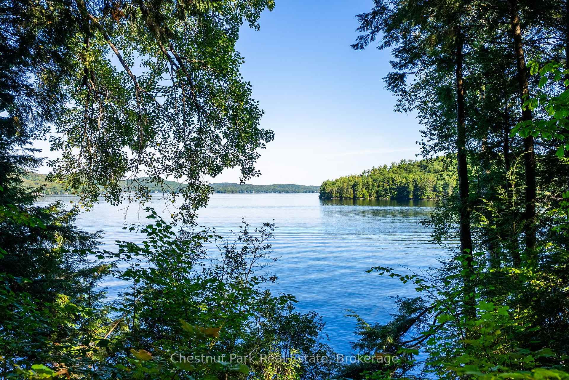 Photo of 4339 Muskoka Road 117