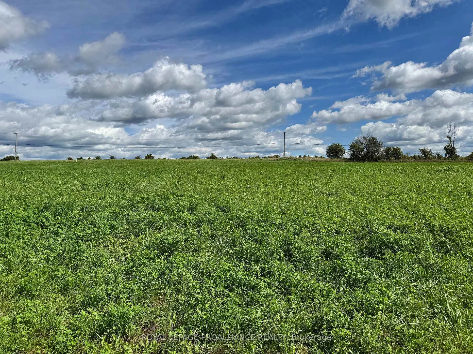 Photo 11 of Lot 3 County Road 18, Augusta, Augusta Twp — HOMEH