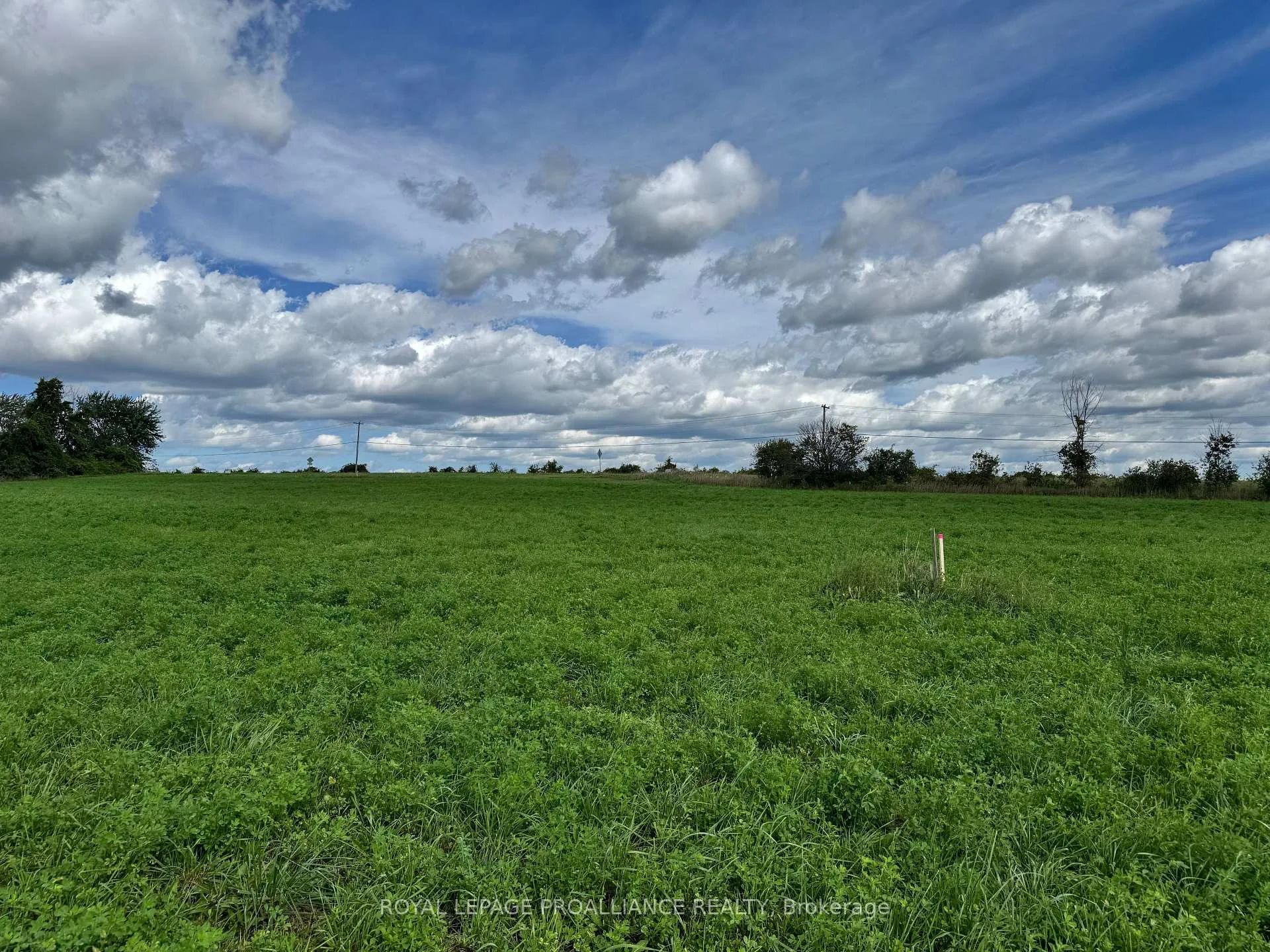 Photo 12 of Lot 3 County Road 18, Augusta, Augusta Twp — HOMEH