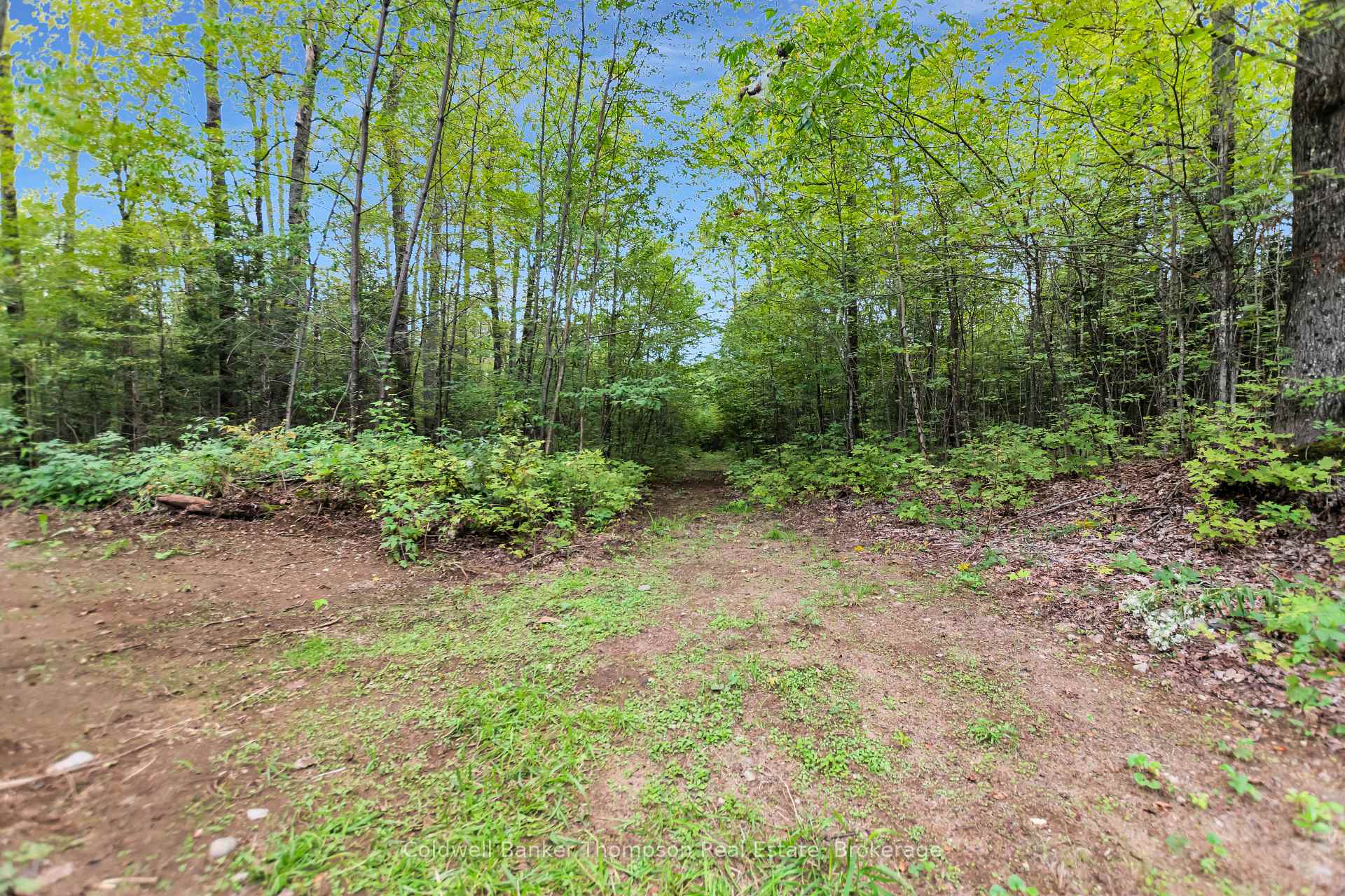 Photo 18 of 2600 Chetwynd Road, Kearney — HOMEH