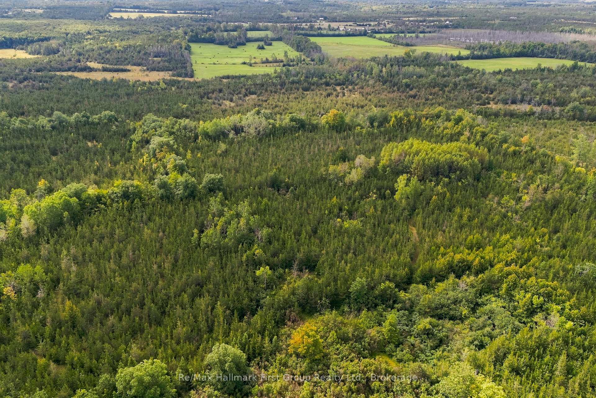 Photo 7 of PTLT 36 Enright Road, Tyendinaga, Tyendinaga Township — HOMEH