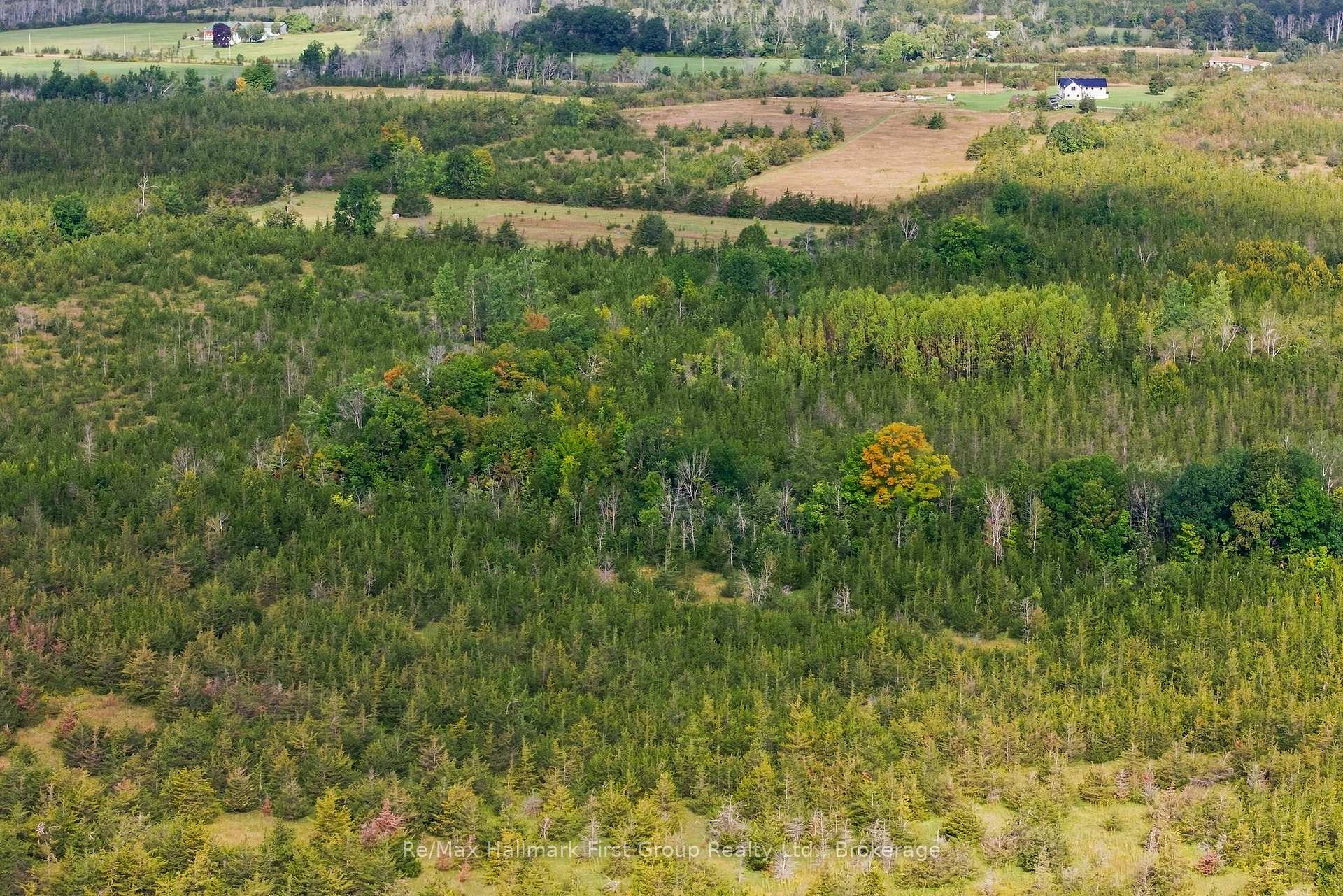 Photo 9 of PTLT 36 Enright Road, Tyendinaga, Tyendinaga Township — HOMEH