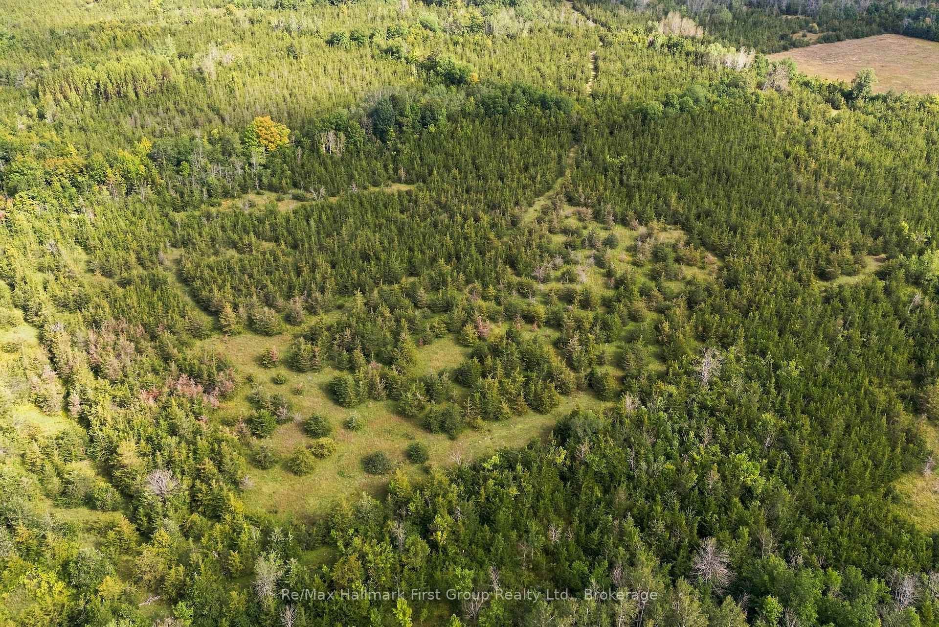 Photo 11 of PTLT 36 Enright Road, Tyendinaga, Tyendinaga Township — HOMEH