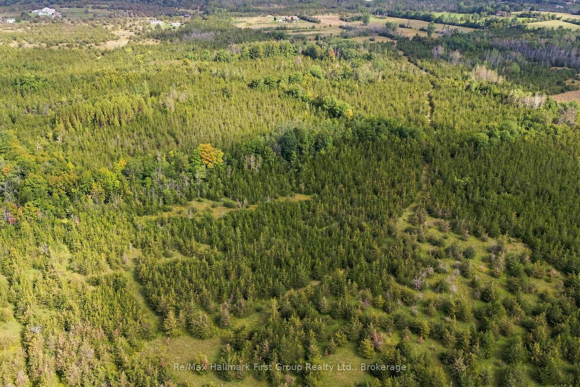 Photo 12 of PTLT 36 Enright Road, Tyendinaga, Tyendinaga Township — HOMEH