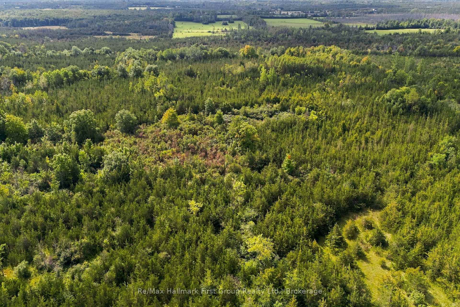 Photo 15 of PTLT 36 Enright Road, Tyendinaga, Tyendinaga Township — HOMEH