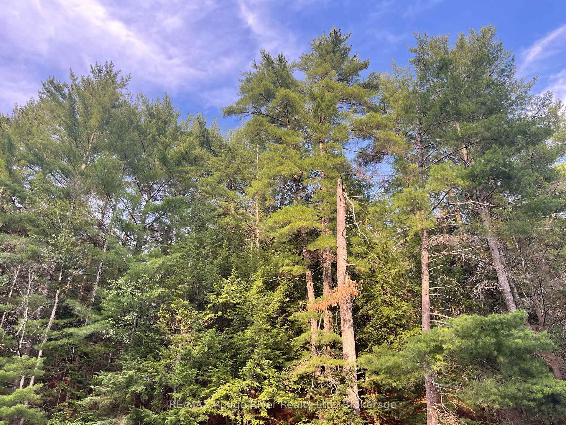 Photo 30 of 39 Hobo Lane, Hastings Highlands, Herschel Ward — HOMEH
