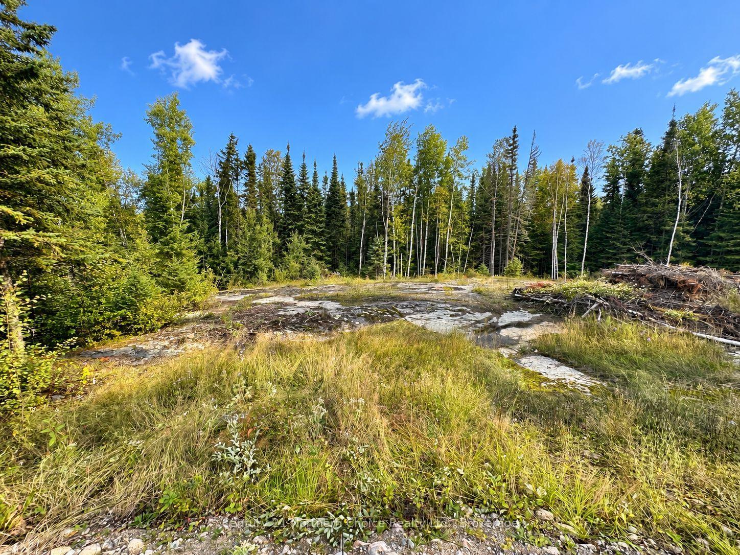 Photo 5 of 53 Mcmanus Street, Red Lake — HOMEH