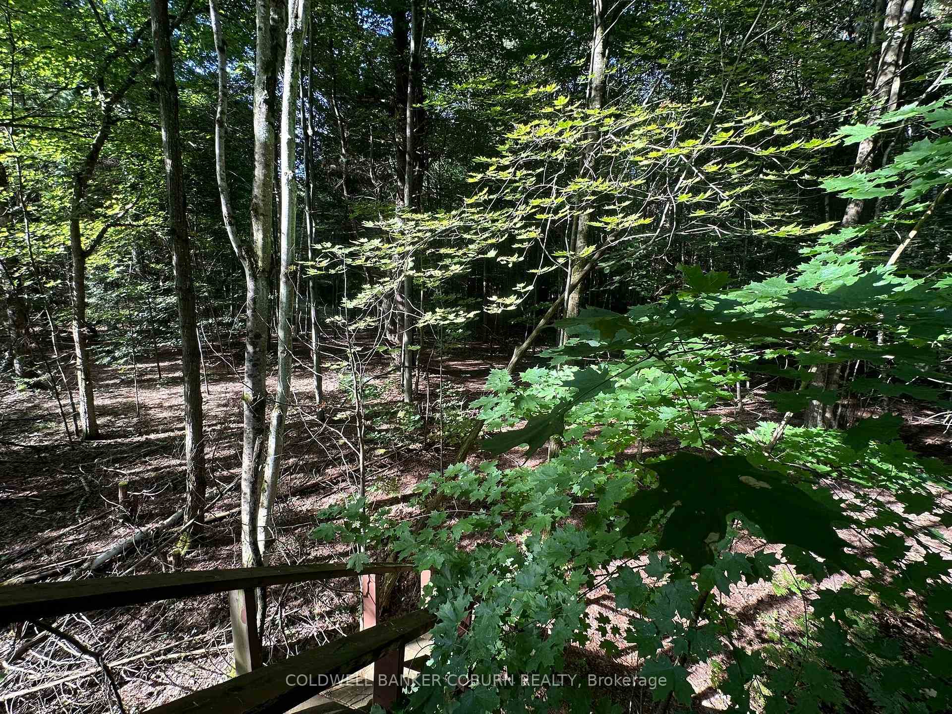 Photo 9 of 1904 Pittston Road, Edwardsburgh/Cardinal, Edwardsburgh/Cardinal Twp — HOMEH