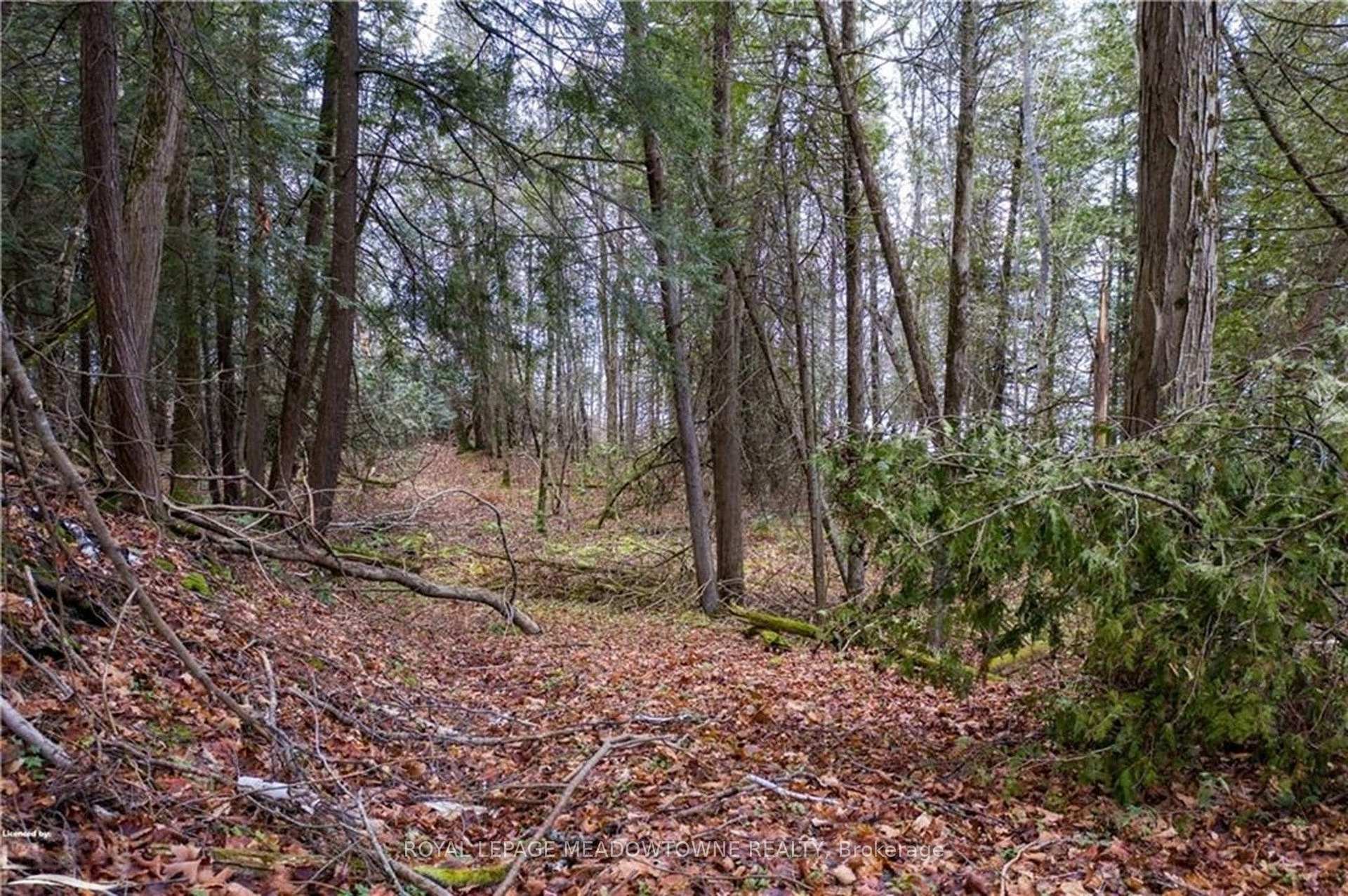 Photo 5 of Lot 12 Eagle Ridge Drive, Meaford — HOMEH