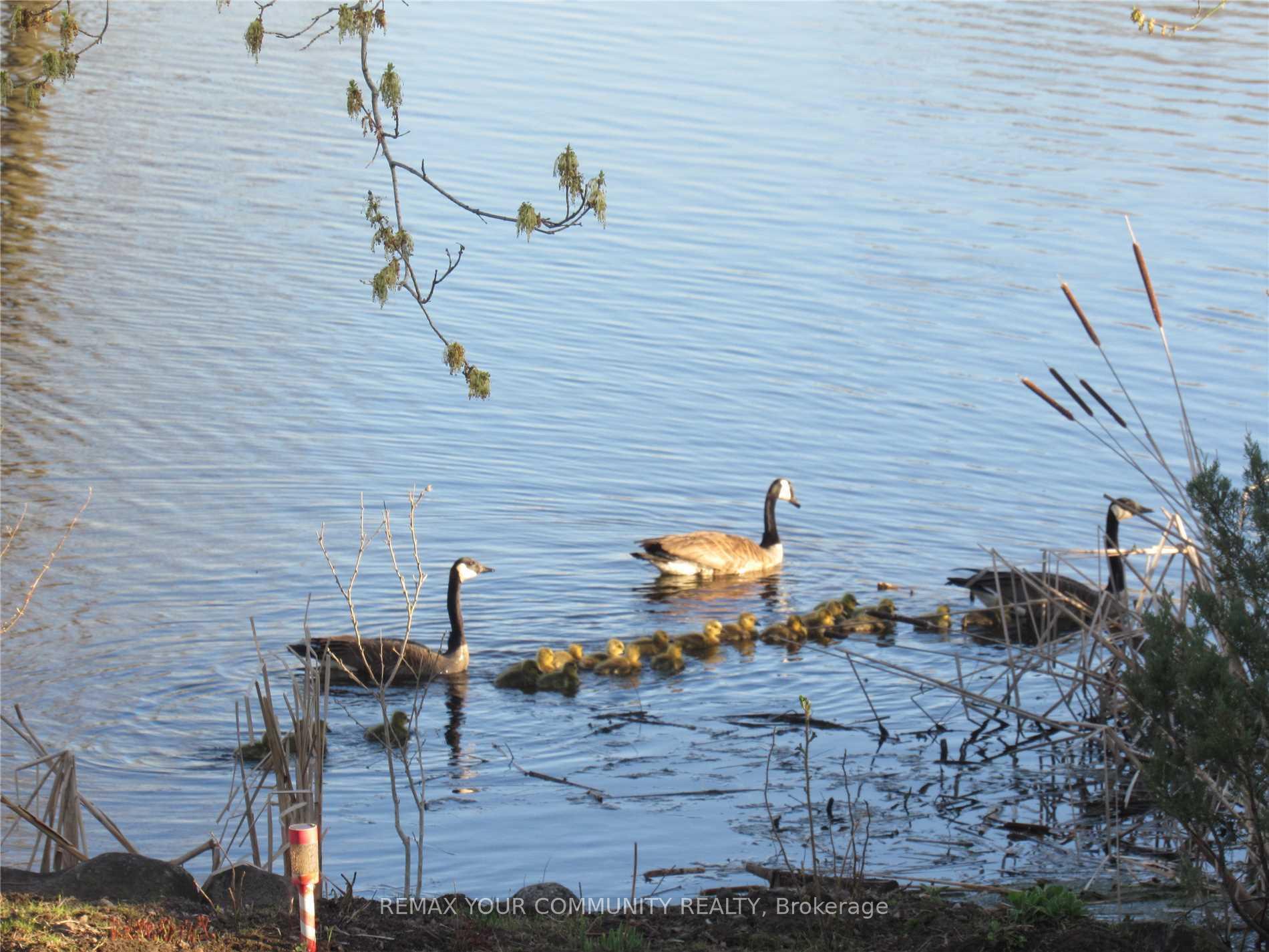 Photo 25 of 184 Riverbank Drive, Georgina, Pefferlaw — HOMEH