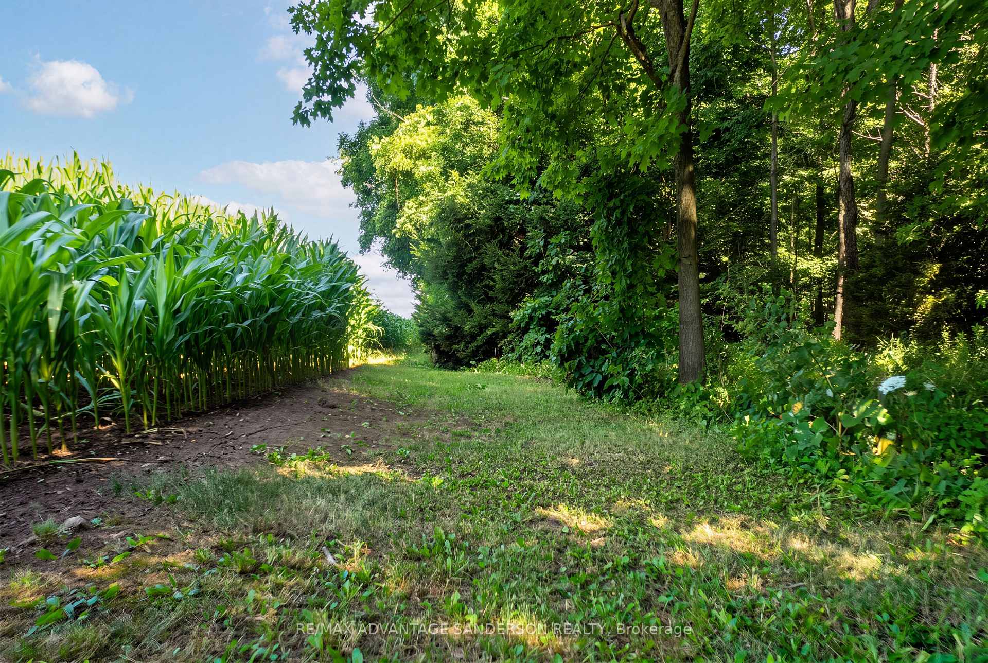 Photo 18 of 14677 Ten Mile Road, Middlesex Centre, Rural Middlesex Centre — HOMEH