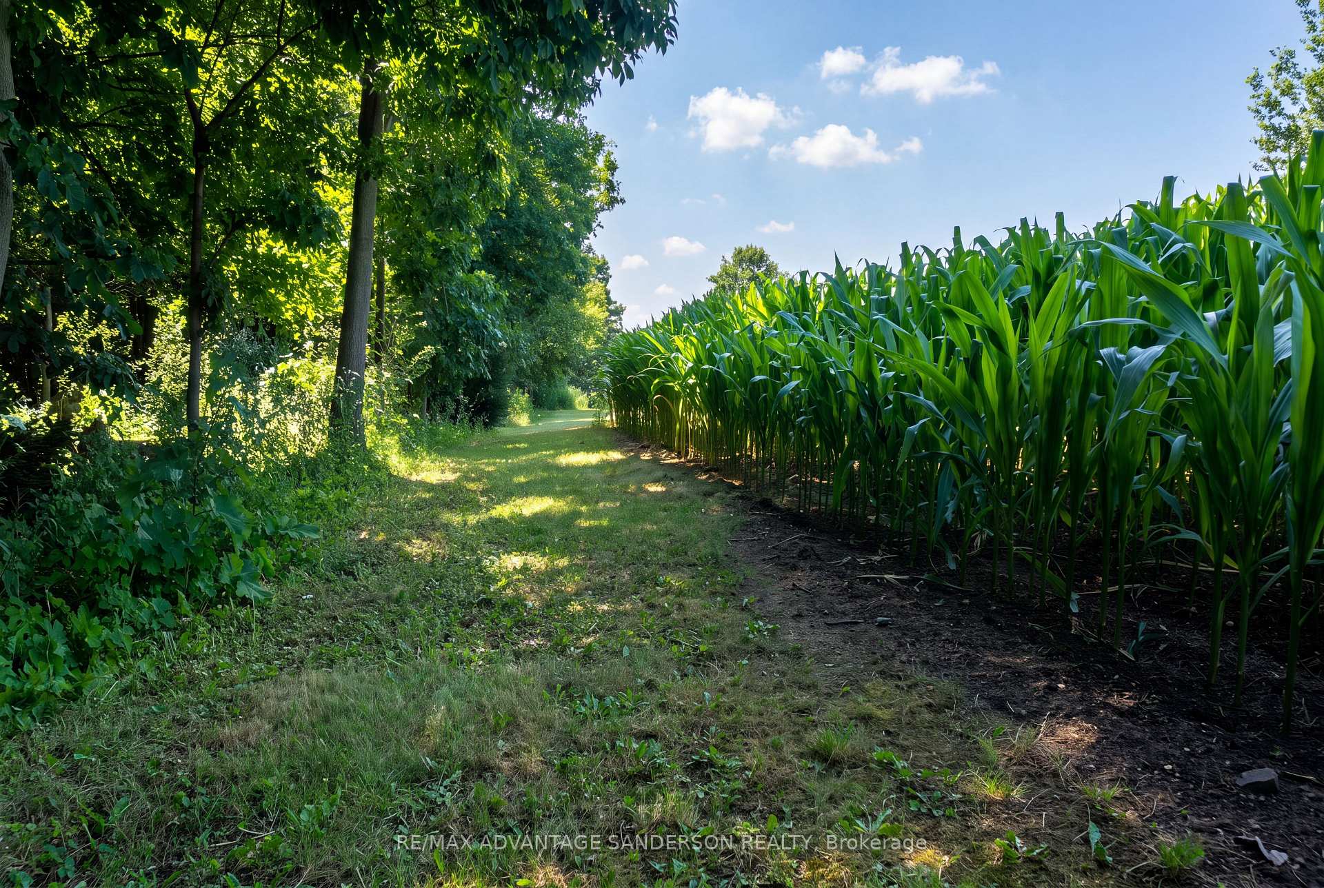 Photo 19 of 14677 Ten Mile Road, Middlesex Centre, Rural Middlesex Centre — HOMEH