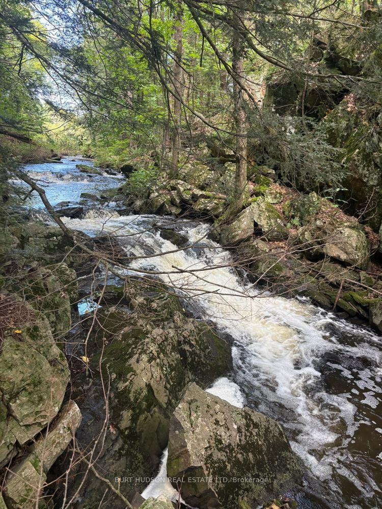 Photo of 33 3rd Concession Road