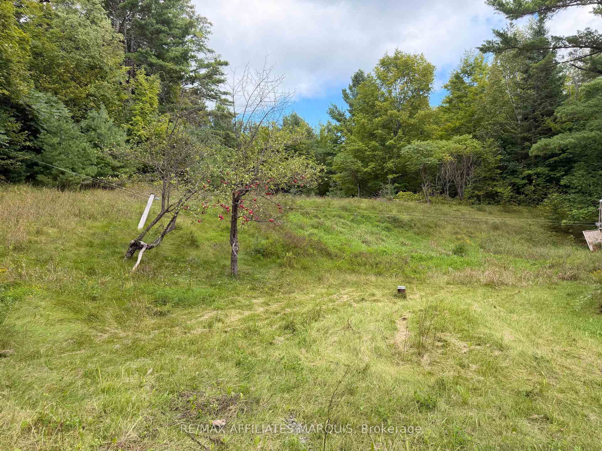Photo 16 of 8774 Highway 511, Lanark Highlands, Lanark Highlands (Darling) Twp — HOMEH