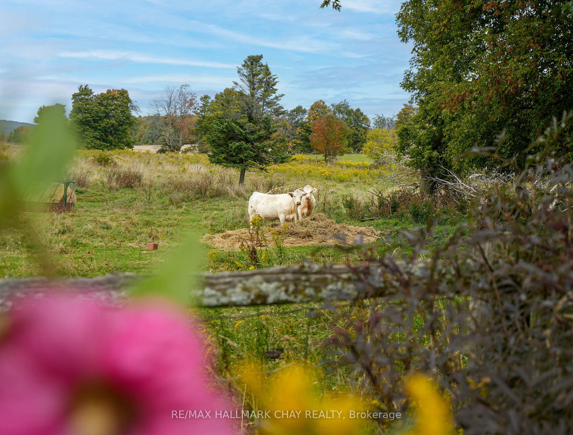 Photo 39 of 347357 15 Side Road, Mono, Rural Mono — HOMEH