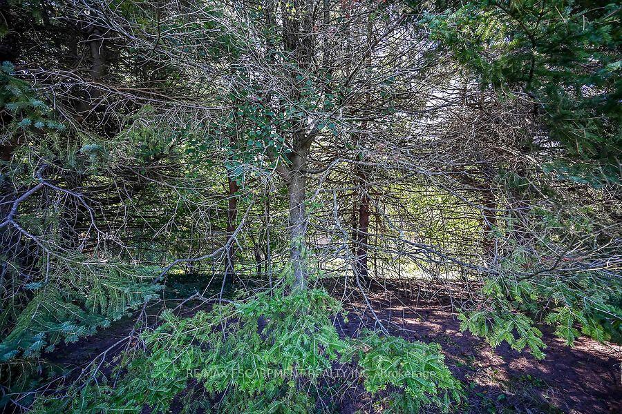 Photo 25 of 57 Turnbull Road, Hamilton, Dundas — HOMEH