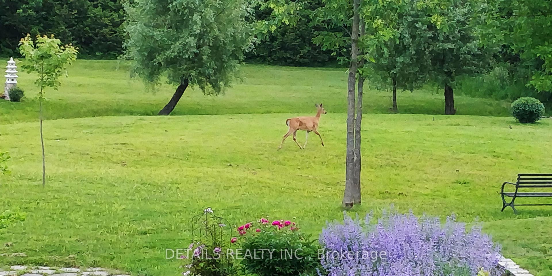 Photo 58 of 28 Ridingview Crescent, Ottawa, Remainder of Stittsville & Area — HOMEH