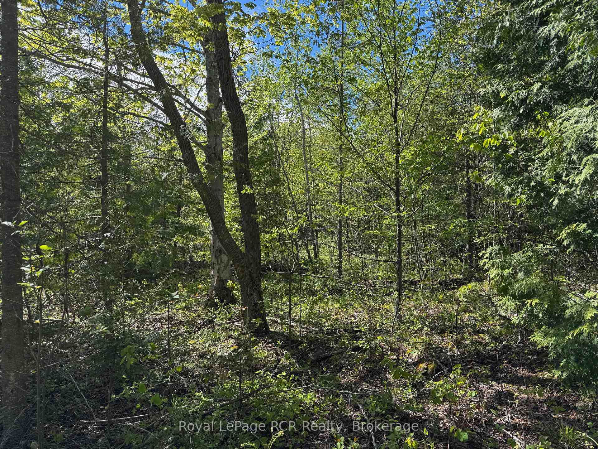 Photo 17 of 2248 Bruce Rd 9, Northern Bruce Peninsula — HOMEH
