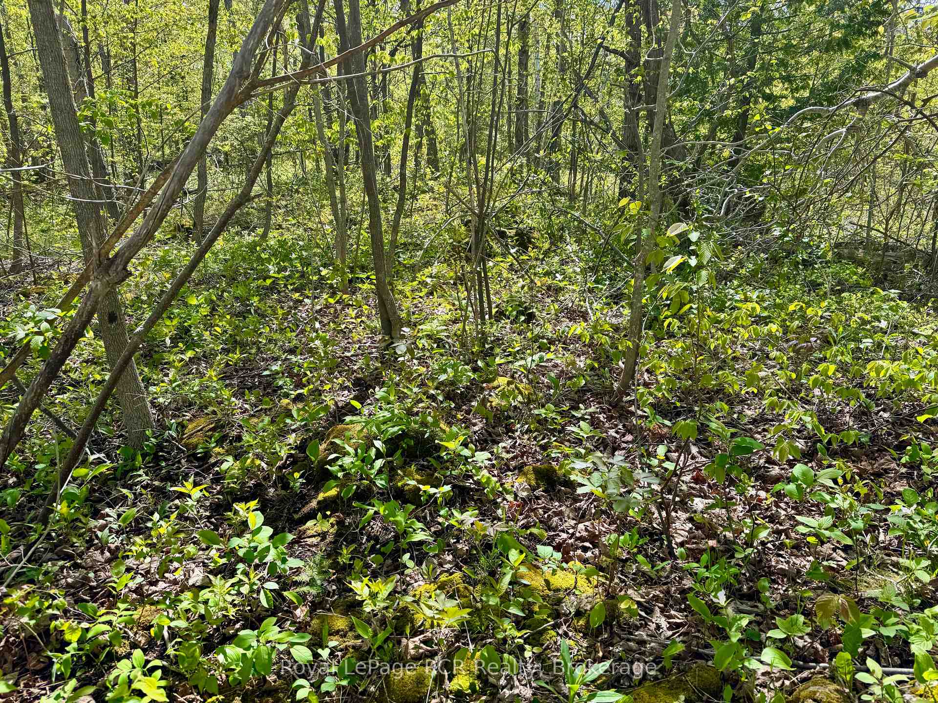 Photo 18 of 2248 Bruce Rd 9, Northern Bruce Peninsula — HOMEH