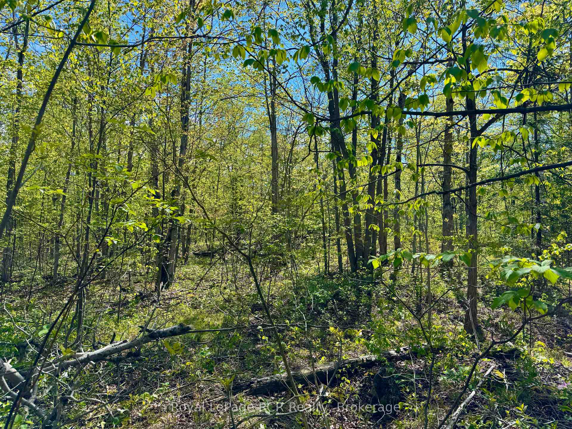 Photo 19 of 2248 Bruce Rd 9, Northern Bruce Peninsula — HOMEH