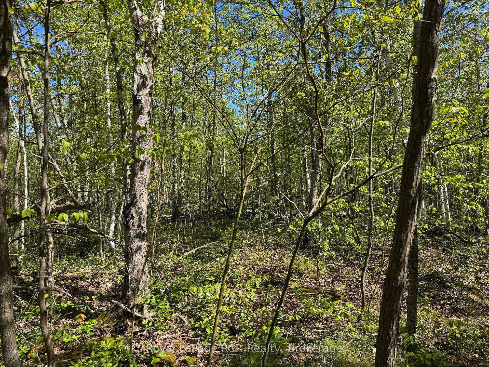 Photo 20 of 2248 Bruce Rd 9, Northern Bruce Peninsula — HOMEH