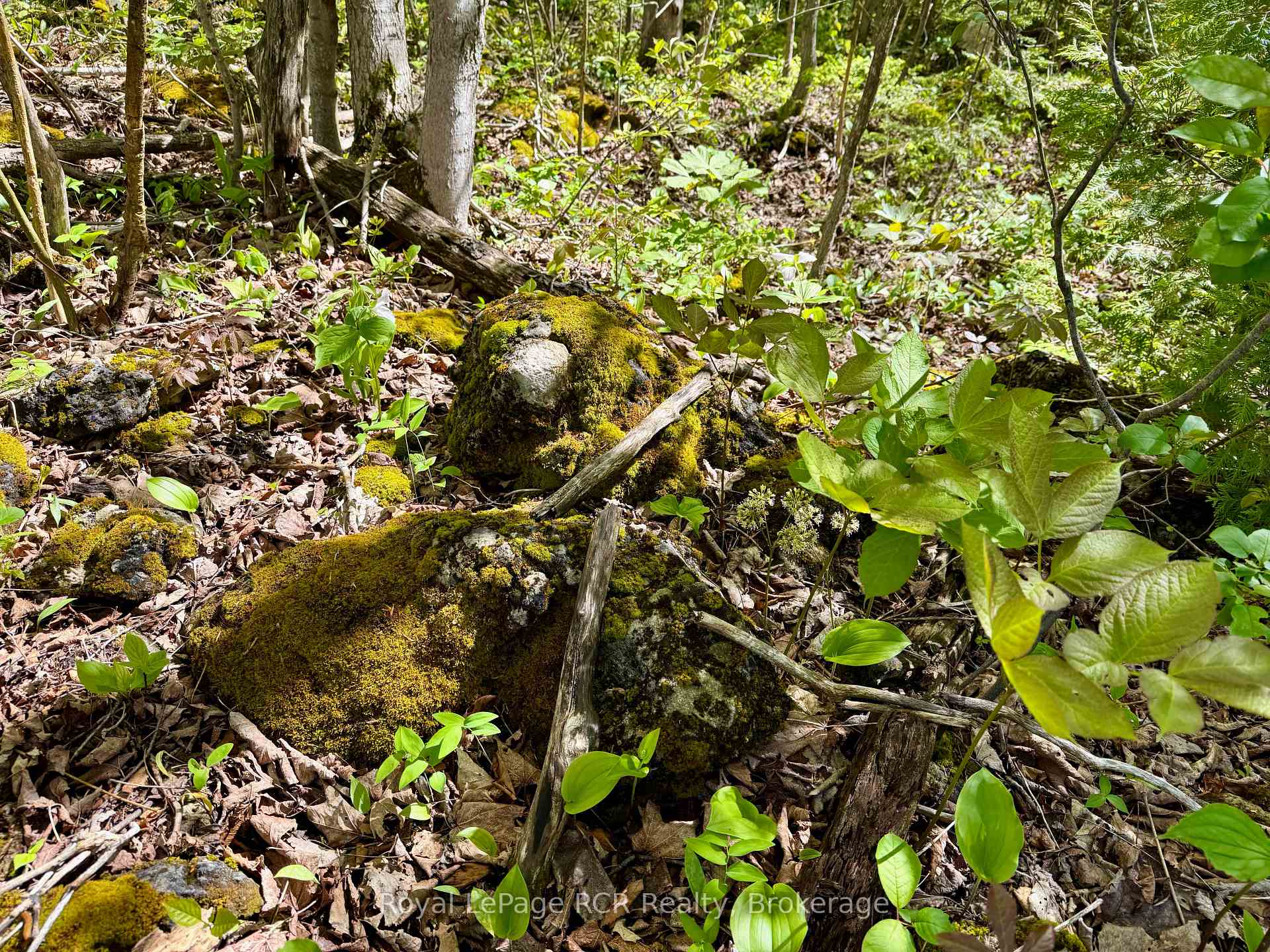 Photo 21 of 2248 Bruce Rd 9, Northern Bruce Peninsula — HOMEH